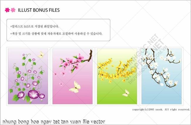 nhung bong hoa ngay tet tan xuan file vector